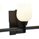 Fleur Vanity Light Wall Light in Matte Black