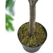 Anita Green Faux Plant