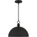 Braylon Pendant Ceiling Light