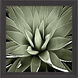 Green Succulent Green and Black and Neutral Framed Art