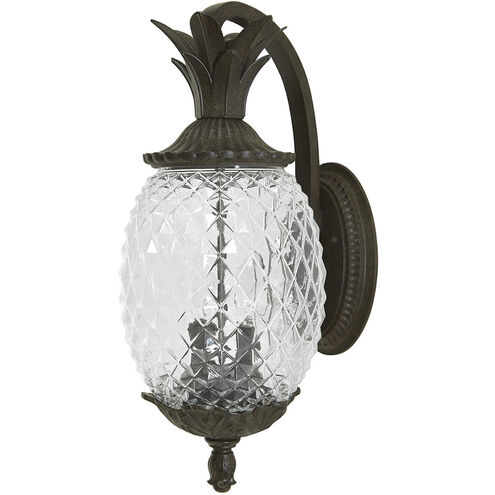 Lanai 2 Light 18 inch Black Coral Exterior Wall Mount