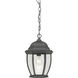 Covington 1 Light 9.5 inch Black Outdoor Pendant