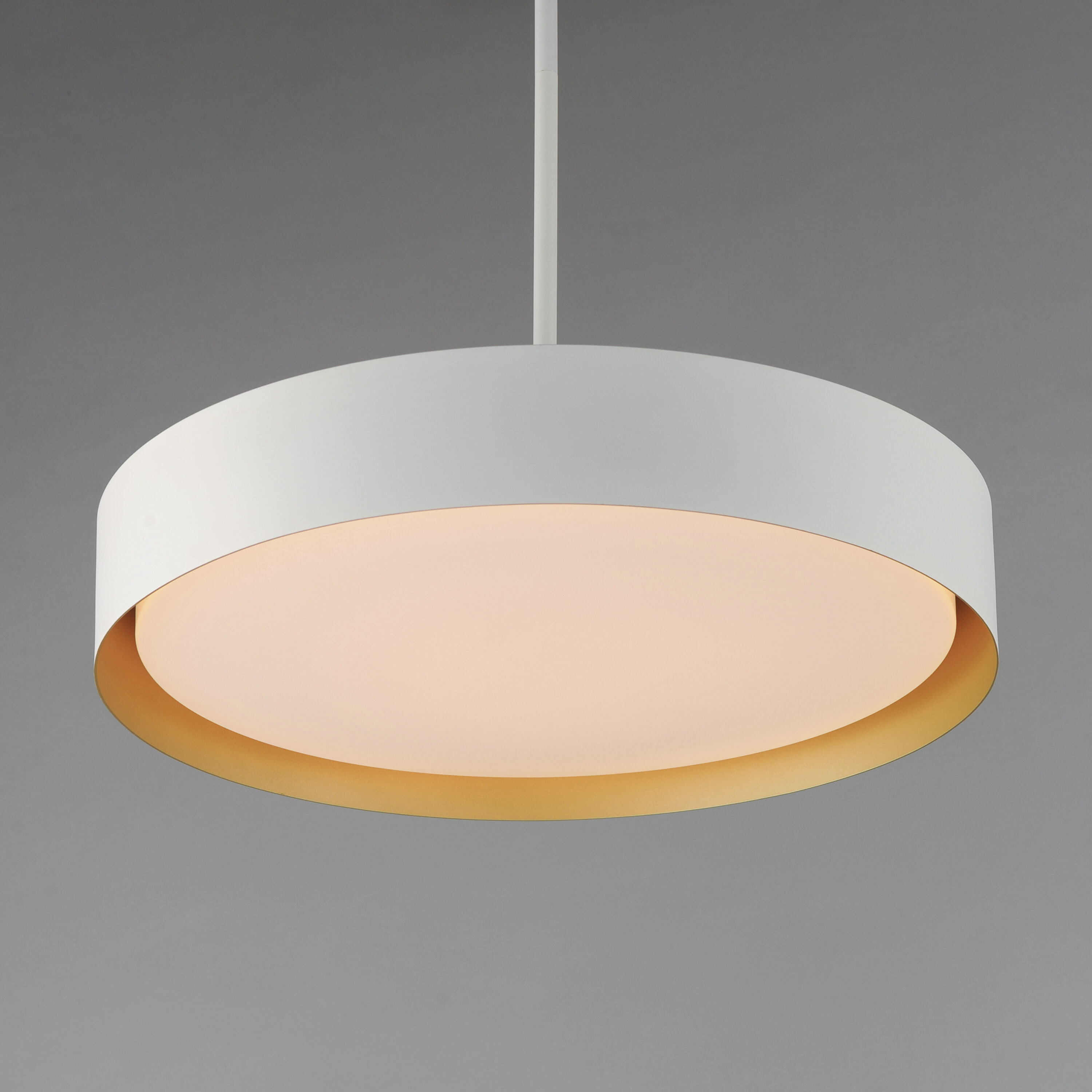 Echo LED 24 inch White/Gold Single Pendant Ceiling Light