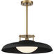 Gavin 1 Light 20 inch Black with Warm Brass Accents Pendant Ceiling Light