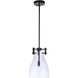 Chardonnay 1 Light 8.88 inch Flat Black Pendant Ceiling Light