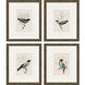 On Perch Multi and Turquoise and Red and Beige Framed Art