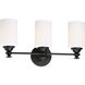 Neighborhood Dardyn 3 Light 21.5 inch Espresso Vanity Light Wall Light in White Frosted Glass