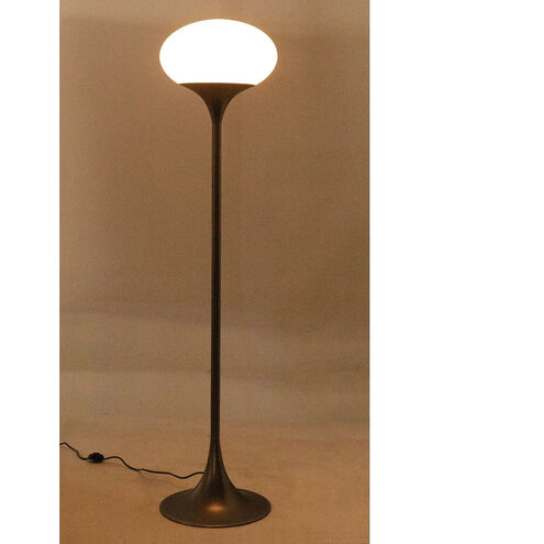 Drop 67 inch 60.00 watt Gun Metal Floor Lamp Portable Light