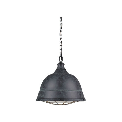 Bartlett 2 Light 17 inch Black Patina Pendant Ceiling Light, Large