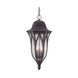Milano 3 Light 11 inch Architectural Bronze Exterior Hanging Lantern