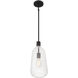 Adair 1 Light 8 inch Matte Black Pendant Ceiling Light, Lighting One