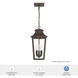 Spring Cove 3 Light 8 inch Matte Bronze Outdoor Pendant, Large