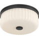 Daniella 11.25 inch Matte Black Flush Mount Ceiling Light