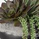 Yuma Green and Burgundy with Dark Iron Succulent Centerpiece