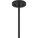 Livingston 1 Light 16 inch Matte Black Pendant Ceiling Light