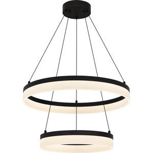 Cohen 23.75 inch Pendant