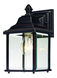 Charleston 1 Light 11 inch Antique Bronze Exterior Wall Lantern in Beveled