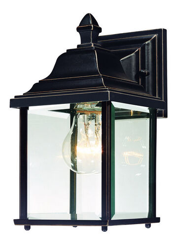 Charleston 1 Light 11 inch Antique Bronze Exterior Wall Lantern in Beveled