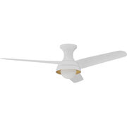 Indoor Ceiling Fans