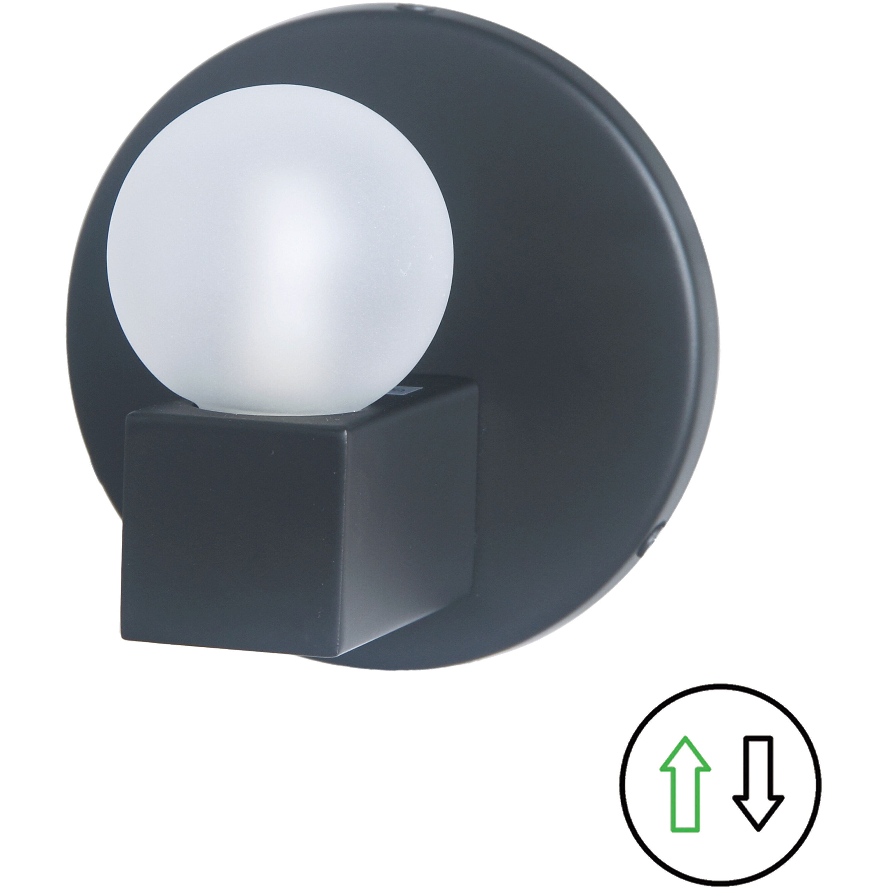 Raleigh Wall Sconce Wall Light