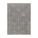 Draco 36 X 24 inch Light Gray Indoor Area Rug, Rectangle