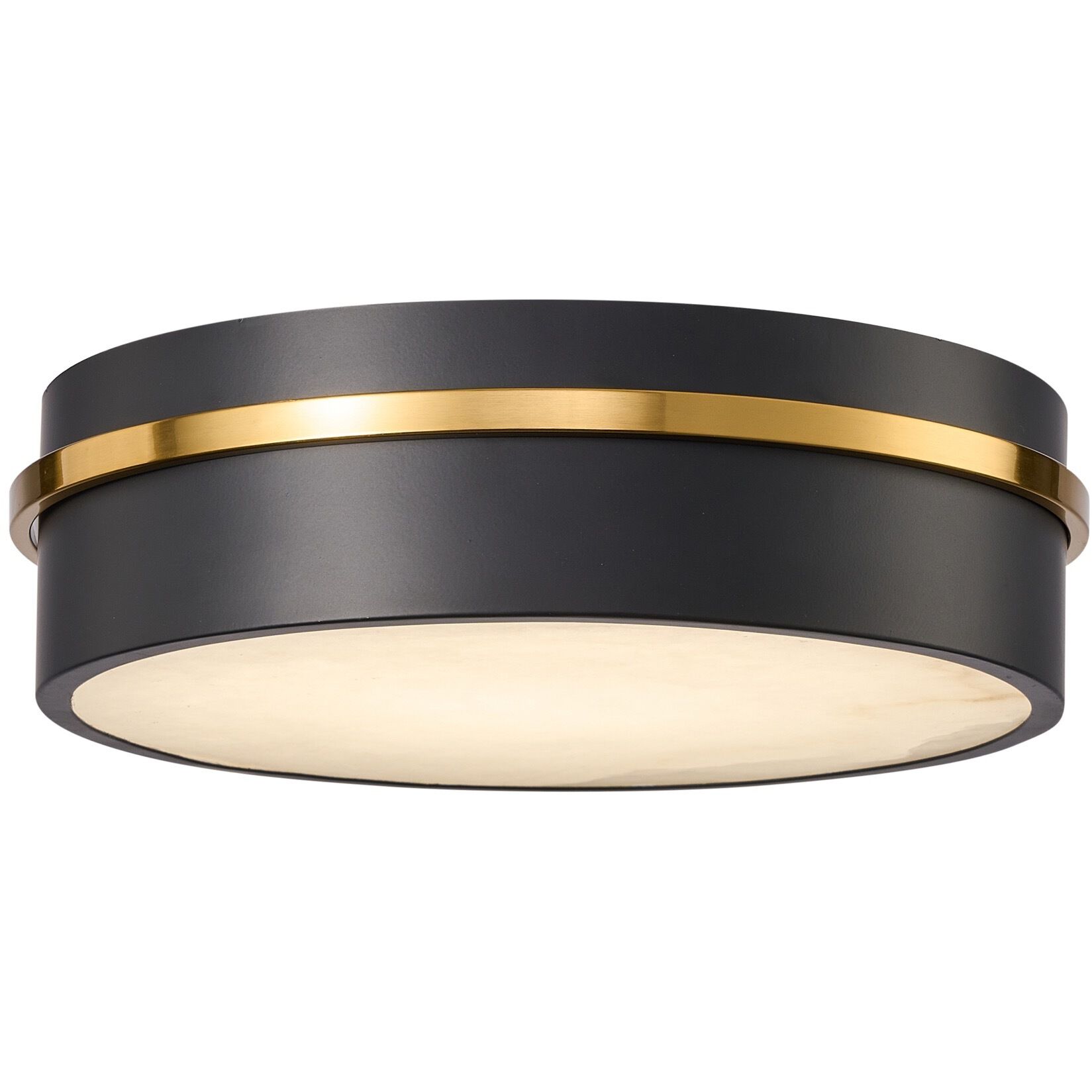 Dax LED 12 inch Black and Brass Flush Mount Ceiling Light