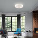 Meridian 5 Light 22 inch Brushed Nickel Semi-Flush Ceiling Light