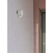Raine 1 Light 8 inch Silver Outdoor Wall Light