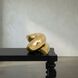 Coiled Brass Decor Accessory