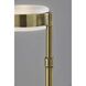 Linis 45 inch 40.00 watt Antique Brass Floor Lamp Portable Light, ADS360