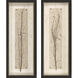 Naturals Brown and Beige and Neutral Framed Art
