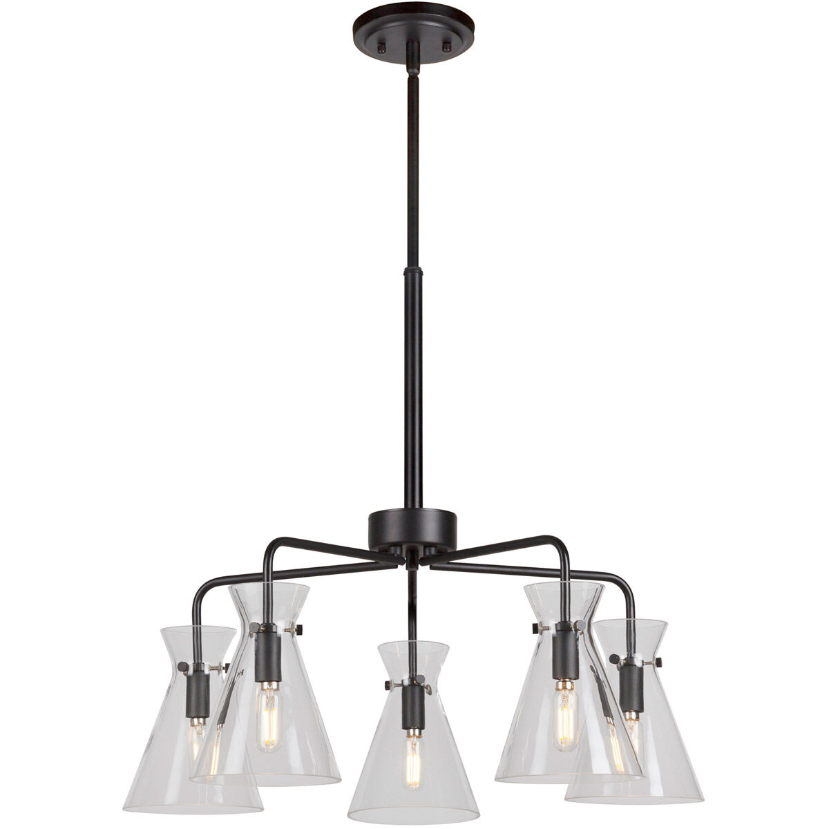 Beaker 5 Light 24 inch Black Chandelier Ceiling Light