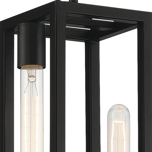Urban Oasis 2 Light 7 inch Matte Black Pendant Ceiling Light