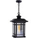 Blackburn 1 Light 9 inch Black Outdoor Hanging Light