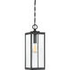 Westover 1 Light 7 inch Earth Black Mini Pendant Ceiling Light, Small