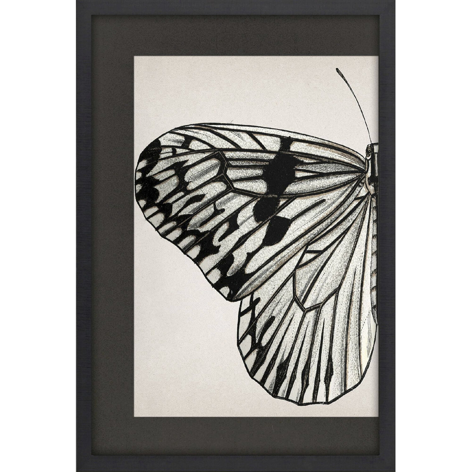 Grand Butterfly Black and Beige and White Framed Art