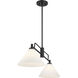 Transitional 2 Light 10 inch Matte Black Chandelier Ceiling Light