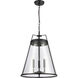 Judy 3 Light 16 inch Matte Black Pendant Ceiling Light