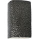 Ambiance Collection LED 13.5 inch Hammered Pewter Outdoor Wall Sconce