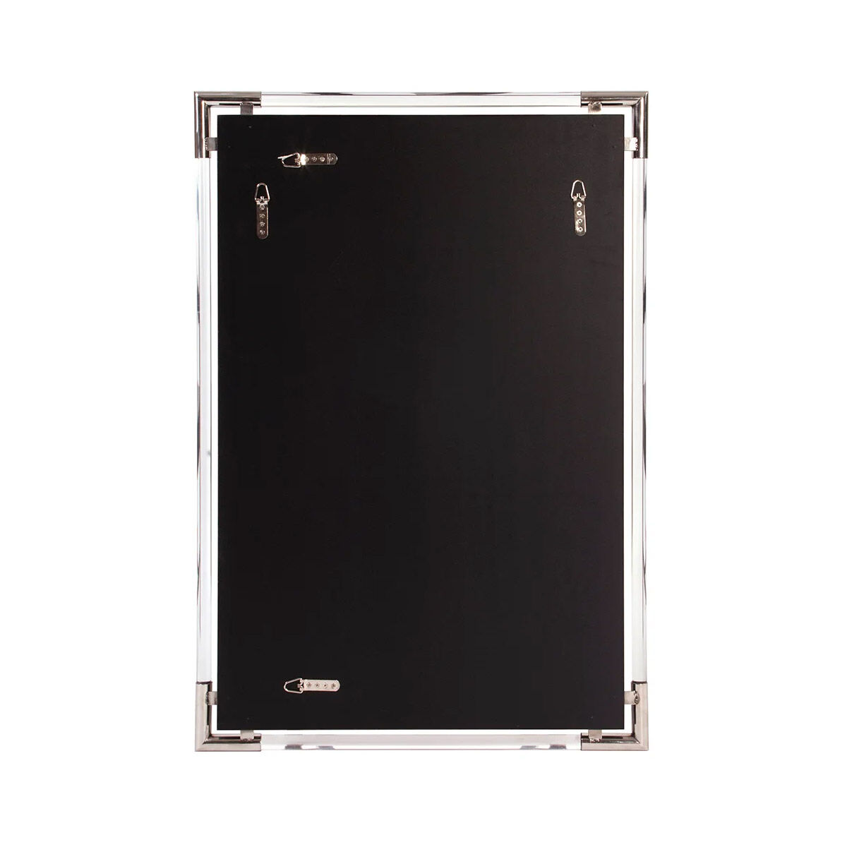 Elsie 39 X 27 inch Clear Acrylic with Stainless Steel Accents Wall Mirror