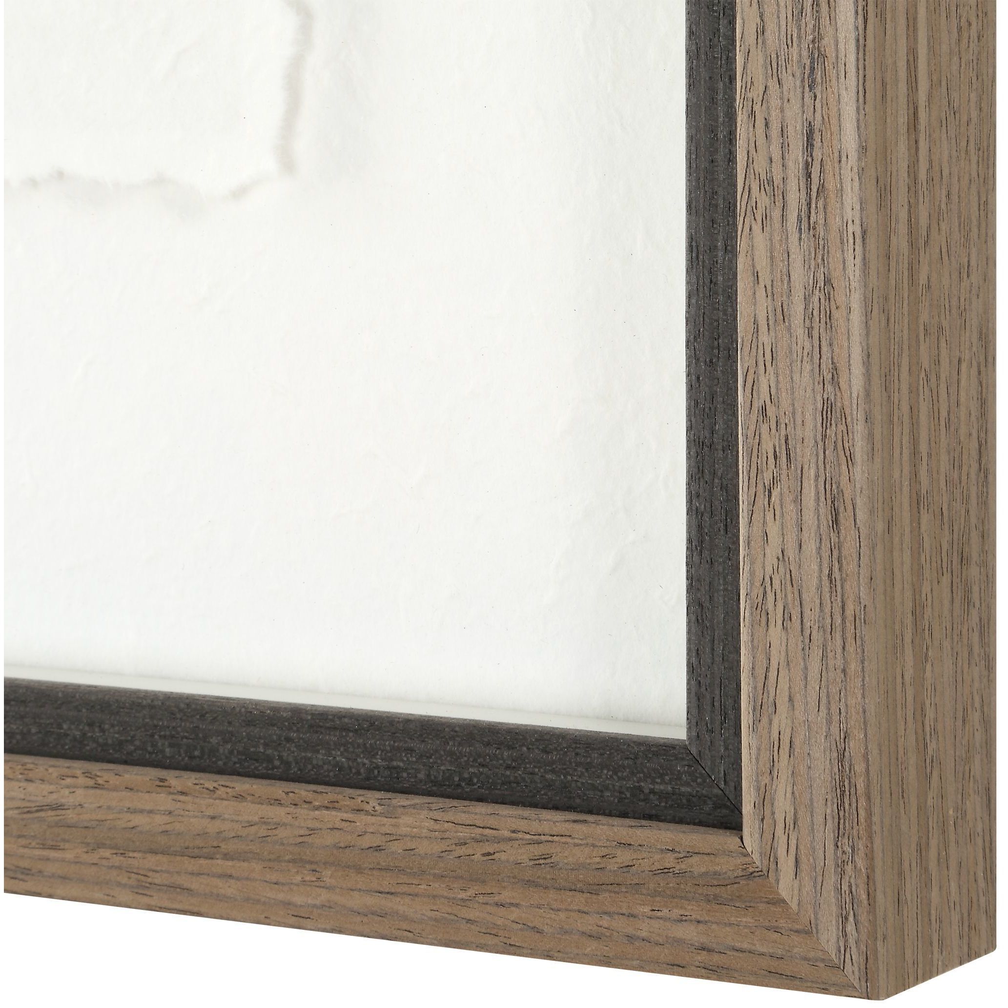 The Catch 20.5 X 18.25 inch Framed Fish Prints, Set of 2