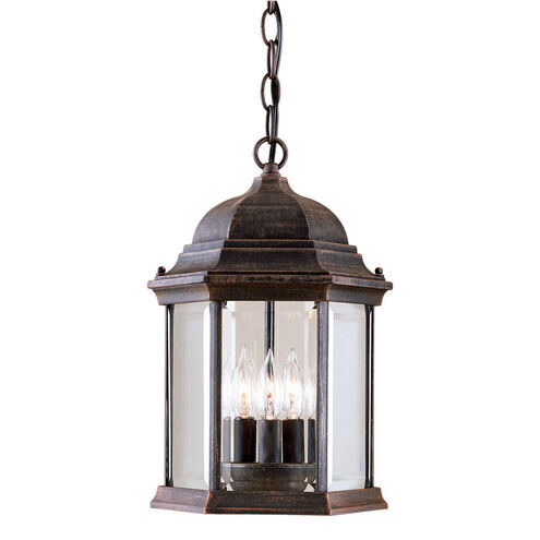 Signature 3 Light 10 inch Painted Rust Outdoor Pendant