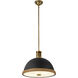 Doral Pendant Ceiling Light in Matte Black and Vintage Brass
