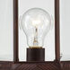 Boxwood 1 Light 22 inch Rustic Bronze Outdoor Wall Sconce