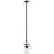 Casa LED 5 inch Olde Black Indoor Pendant Ceiling Light in Clear