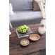 Kanso 9.8 X 3.1 inch Decorative Bowl