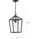 Hopewell 1 Light 9 inch Matte Black Outdoor Hanging Lantern
