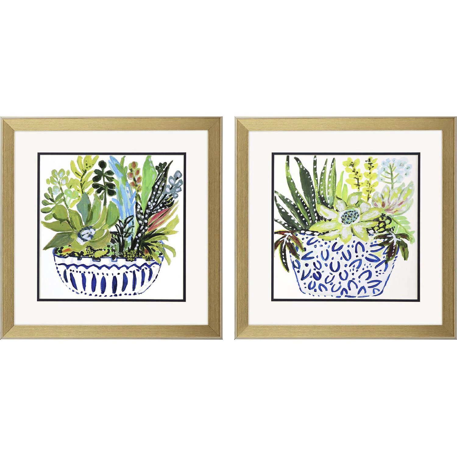 Succulent Garden Blue and Green Framed Art, Propac