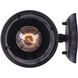 Madison 1 Light 13 inch Black Outdoor Downlight