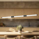 Akari LED 49.5 inch Black Linear Pendant Ceiling Light